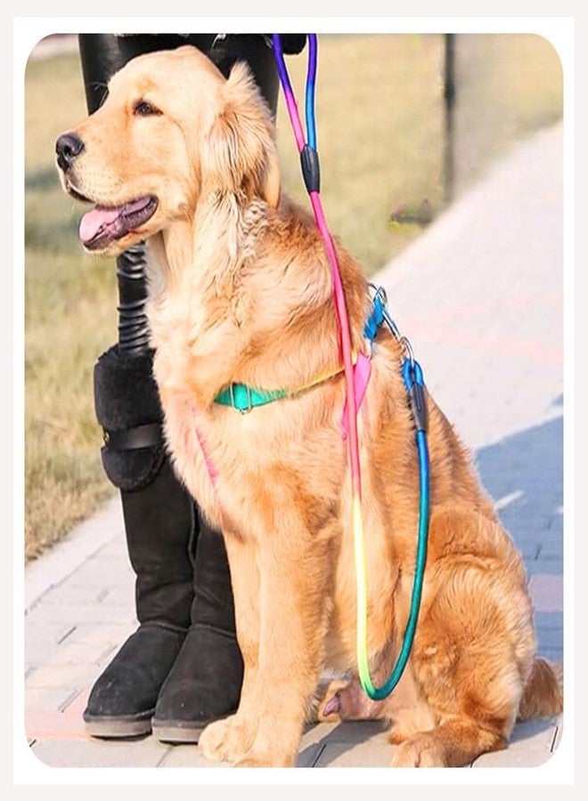 A+a Pets' Harness and Leash Set, Colourful Combo in Rainbow for Cats and Dogs (L/XL Rainbow) - Image 1